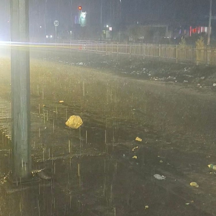 दतिया में 13 मिमी बारिश रिकॉर्ड:कृषि विशेषज्ञ बोले- सब्जी, चना, सरसों की फसल को हो सकता है नुकसान